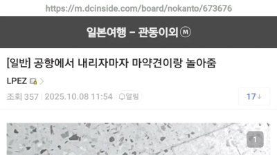 공항에서 마약견 훈련에 협조하면 받는 굿즈