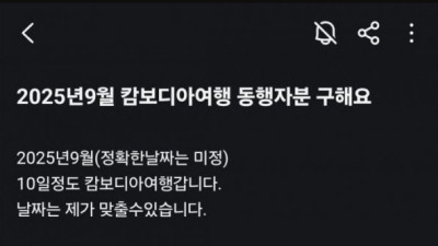 캄보디아 여행 동행자 구해요
