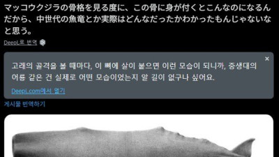 ??? : 화석 복원 그거 그냥 실제랑 완전 다른거잖아 