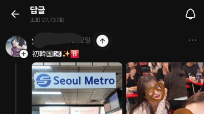 SNS에서 욕먹은 한국여행 온 일본녀