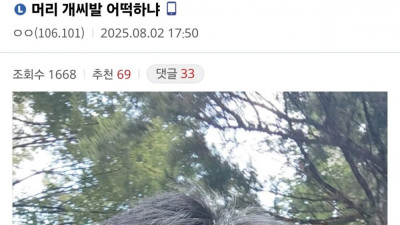 머리 ㅅㅂ 어떡하냐