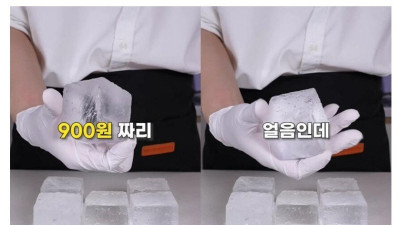 얼음을 개당 900원 주고 사먹는 이유 