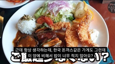 한국 돈까스에 불만이 많은 일본인 