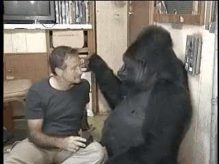 짐승도 거부하는 근친상간